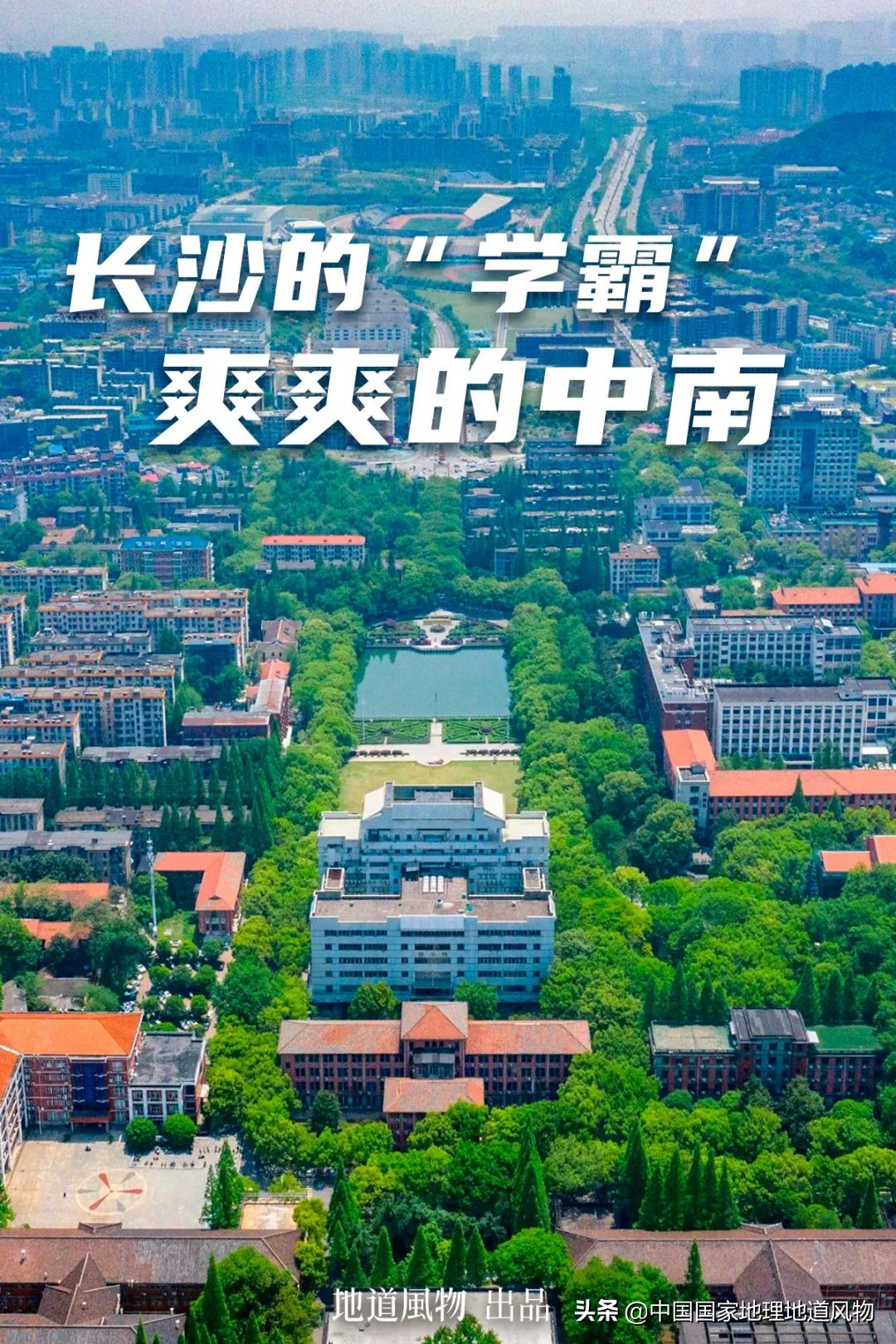 中南大学中南矿冶学院,中南是哪个大学