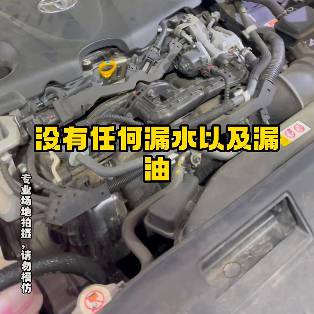 纯电与混动怎么选？老雷更推荐于混合动力。@老雷明驰严选...