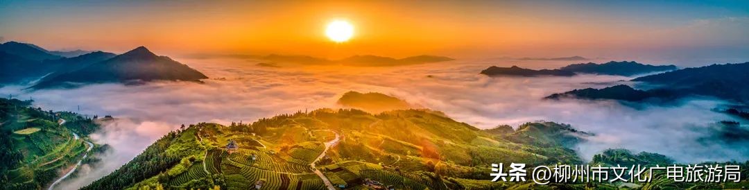 暑期旅游景区活动,暑期旅游优惠活动来啦