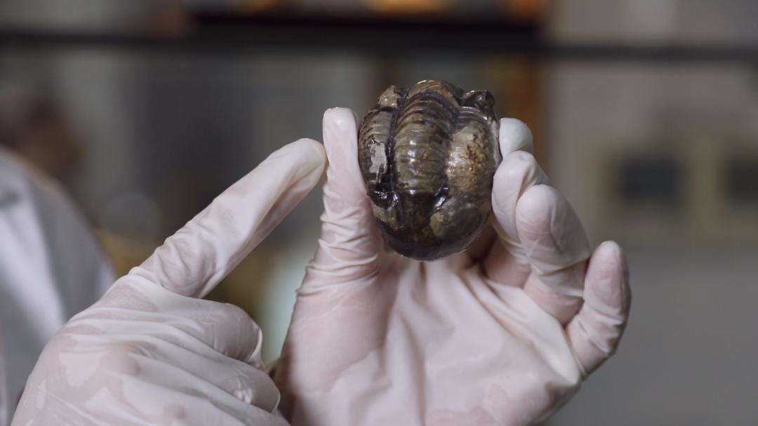 你车里的油和它们有关！探秘石化版“三星堆”宝藏