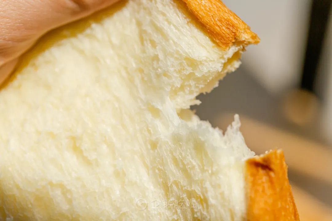 吃掉100+只面包，终于掏出这篇连锁面包店购买指南