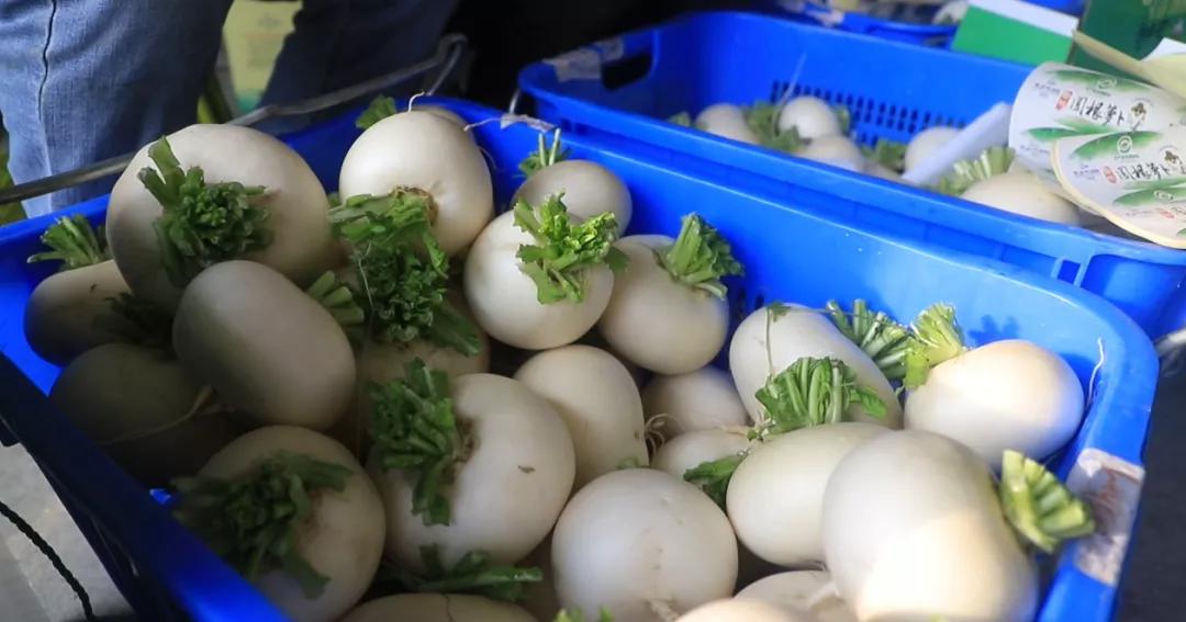 郫都区安德街道云桥村,云桥村萝卜