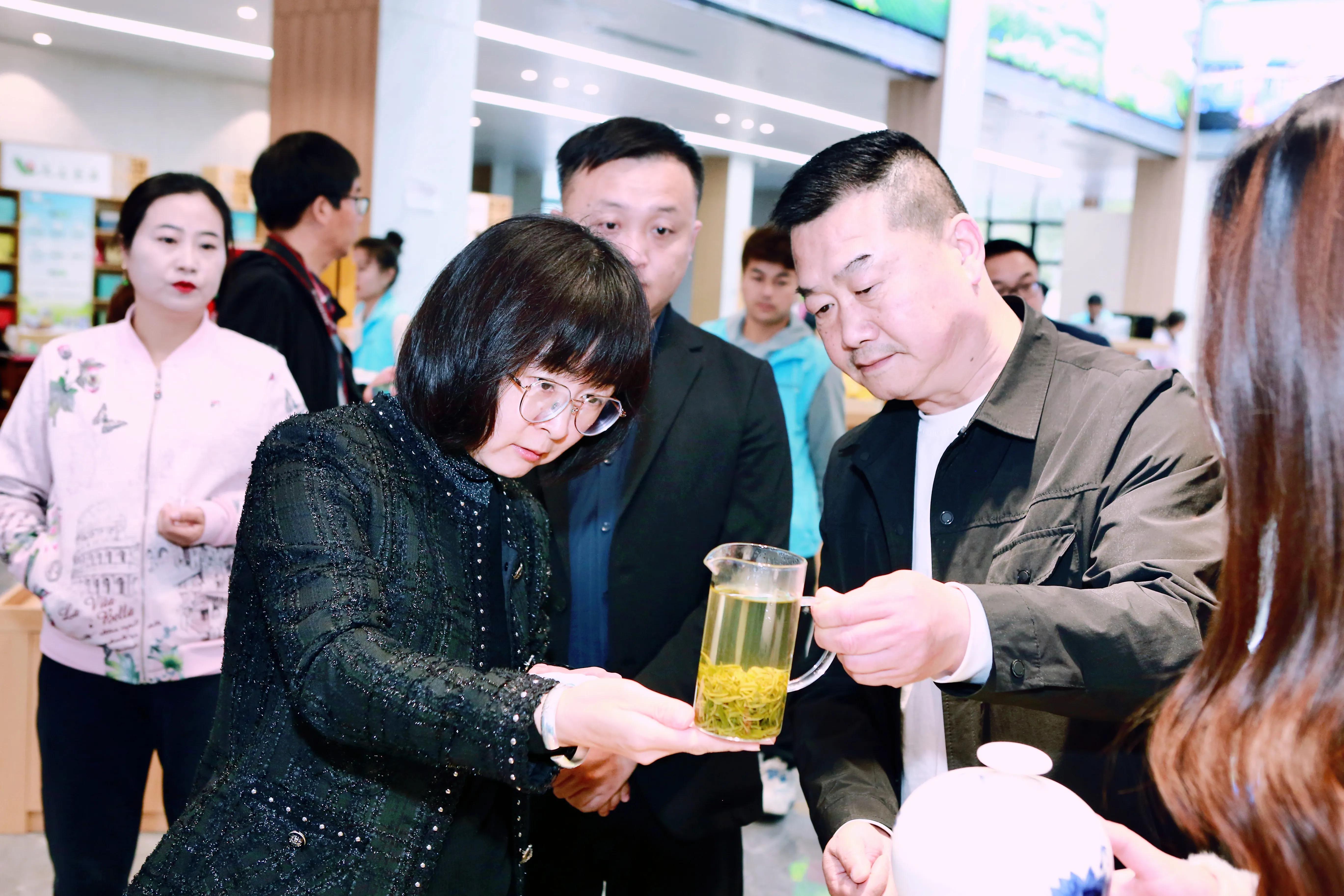 西乡县最美茶乡,西乡最美茶园