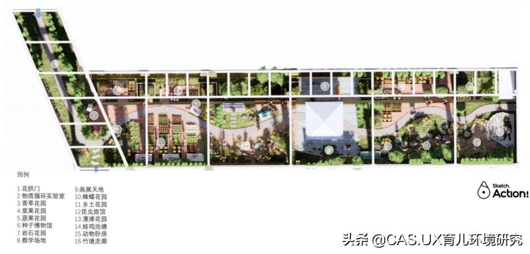 CAS儿童空间|生命花园:在校园屋顶打造感知自然的实验场