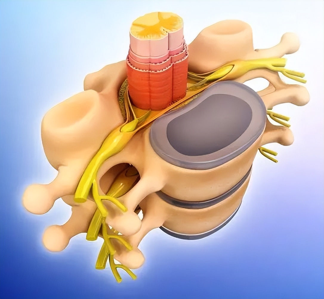 脊髓损伤康复分享,脊髓损伤的中医康复治疗方法
