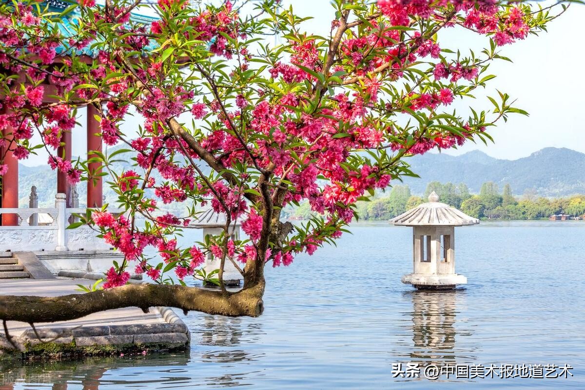 柳浪闻莺附近的十景,杭州西湖十景柳浪闻莺