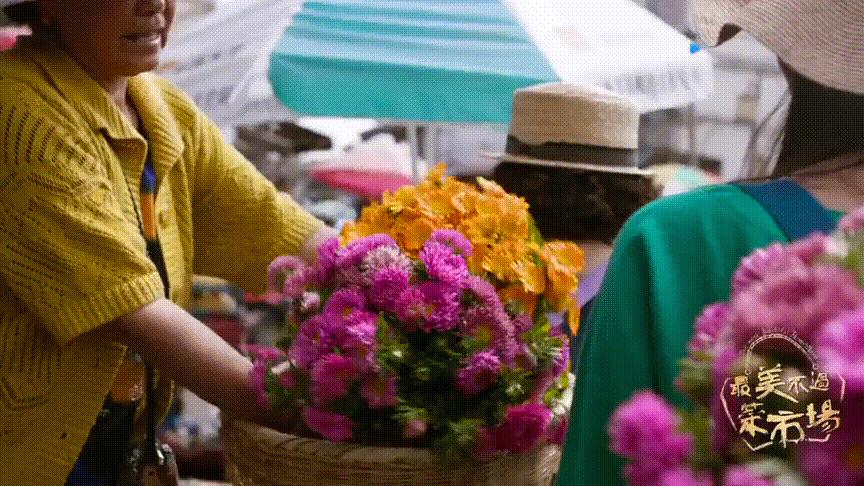 中国十大养老宜居城市,最宜居的十个养老城市