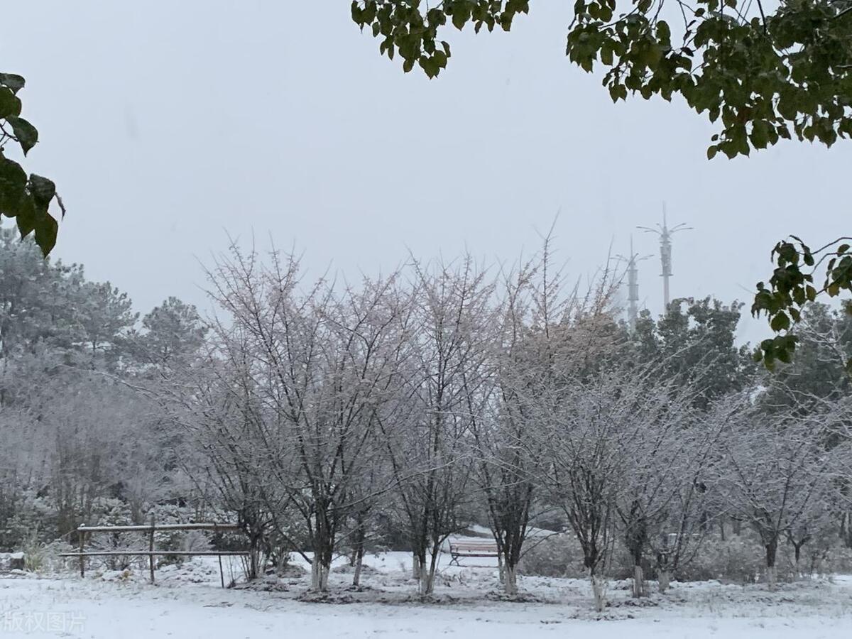 安徽2023校友会排名专科,校友会2022专业排名