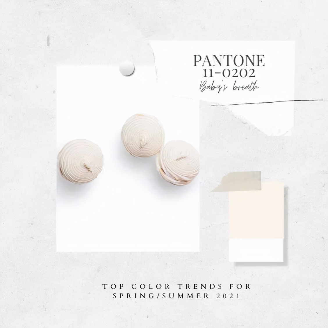 2024pantone年度流行色,pantone最新流行色紫外光