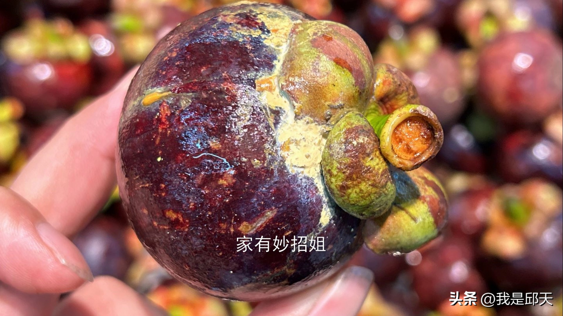 买的山竹里面皮黄了是坏的吗,买的山竹太硬