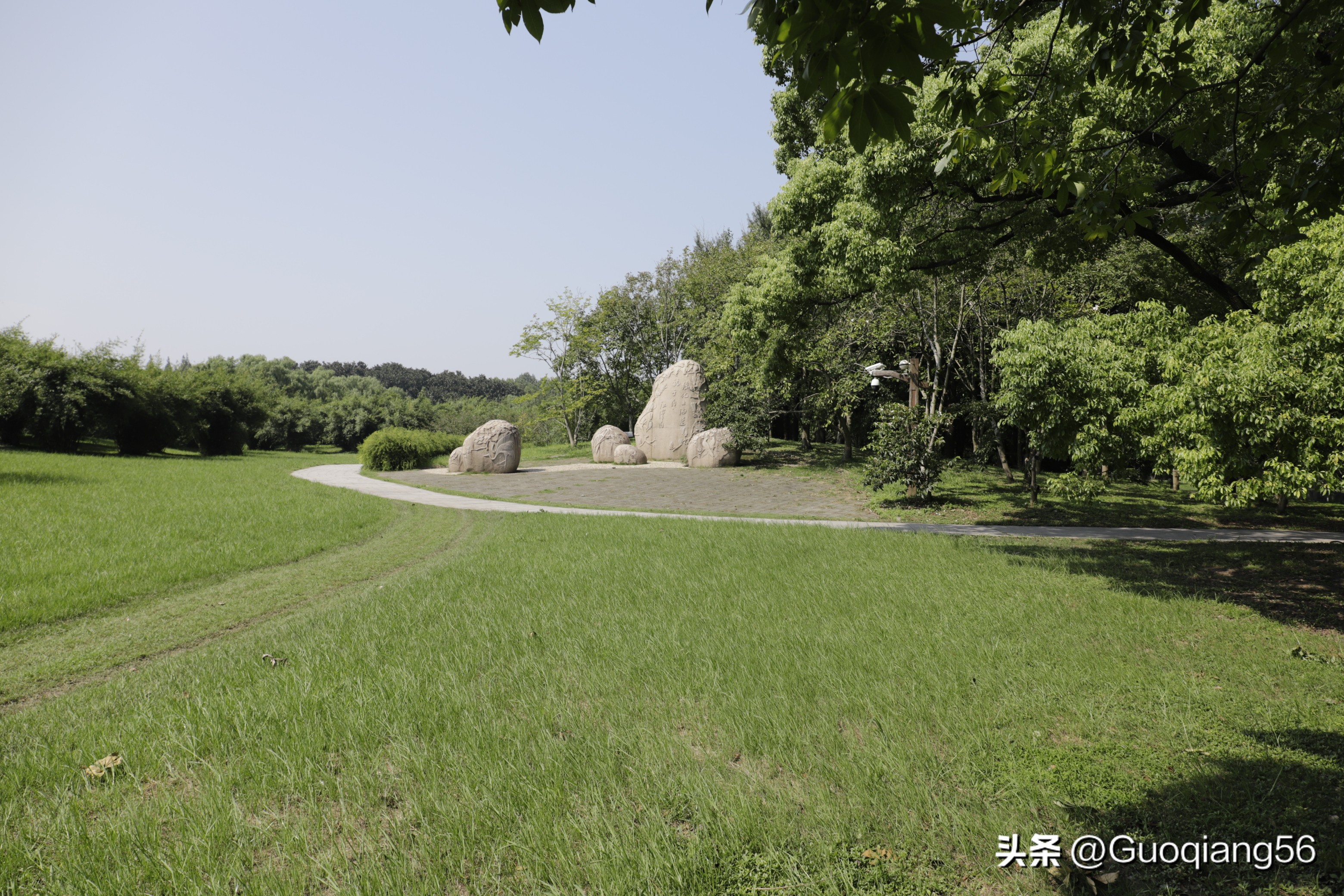 上海动物园门票老年人免费,上海双休日老年人最多的公园在哪