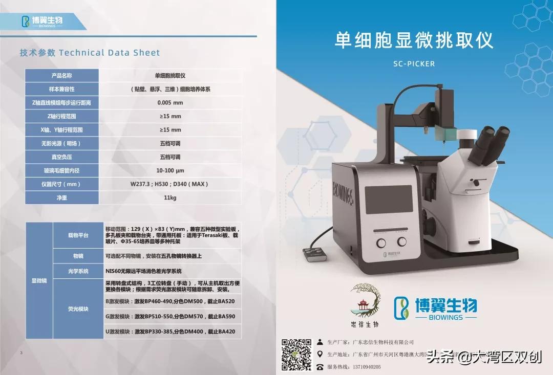 港澳青年逐梦,港澳青年创业机会