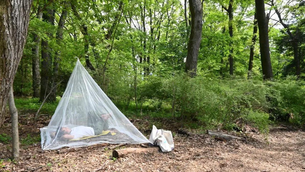 夏天用蚊帐的坏处,冬天可以用蚊帐吗