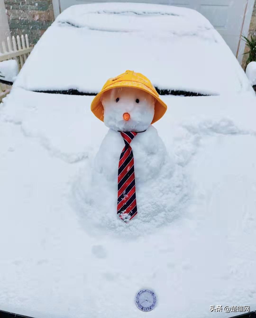 堆雪人大赛现场,楚雄花式雪人