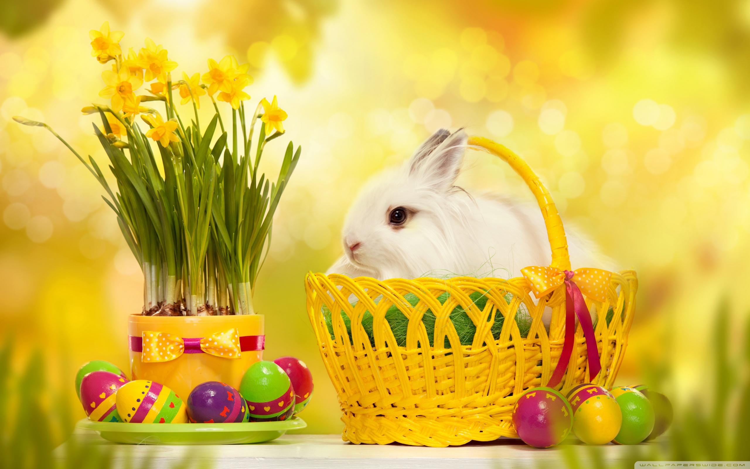 国外人过清明节吗,外国人在中国过清明节都干些什么