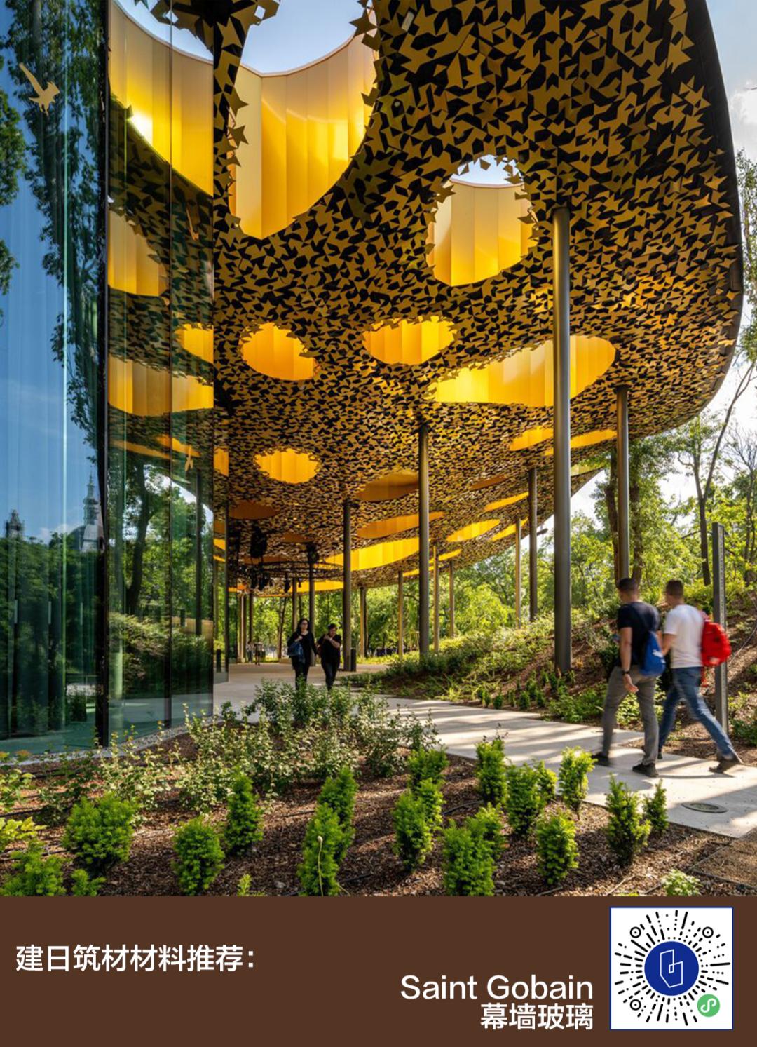 与藤本壮介一起走进金色叶子‘殿堂’，匈牙利音乐之家