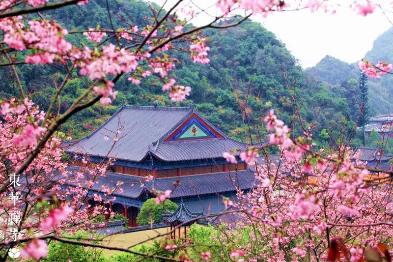 letsgo一周目图文攻略,letsgo图鉴攻略