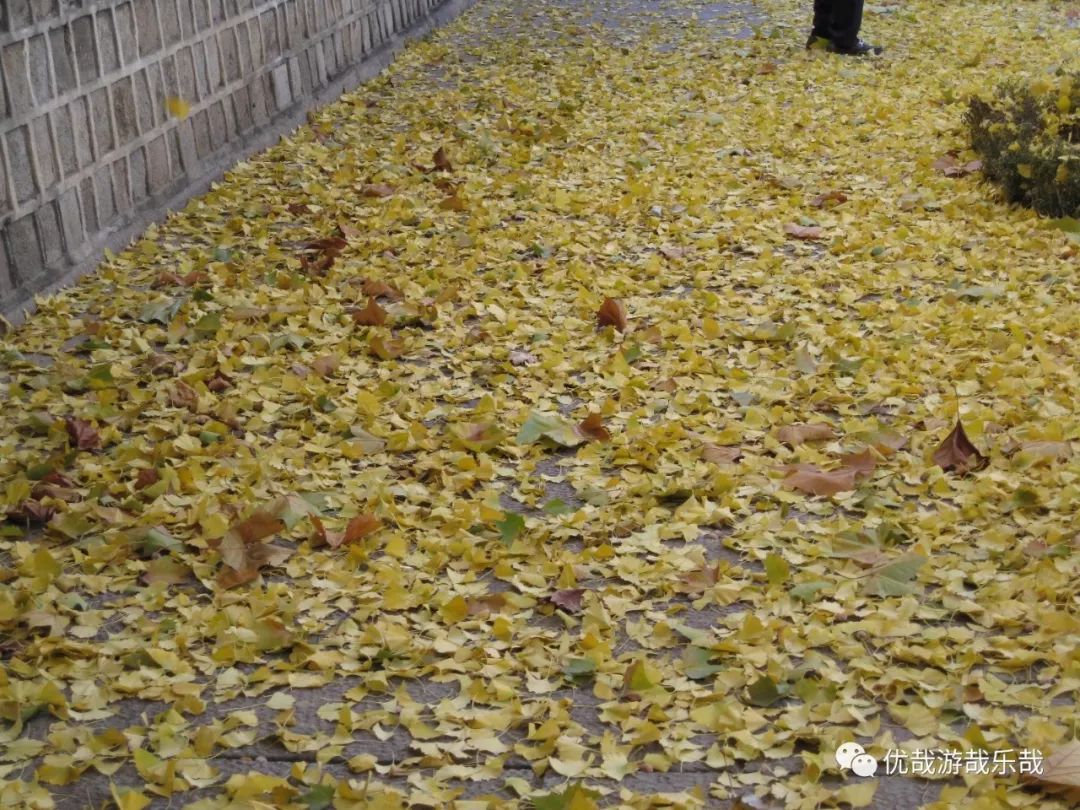 往事153韩国首都首尔印象