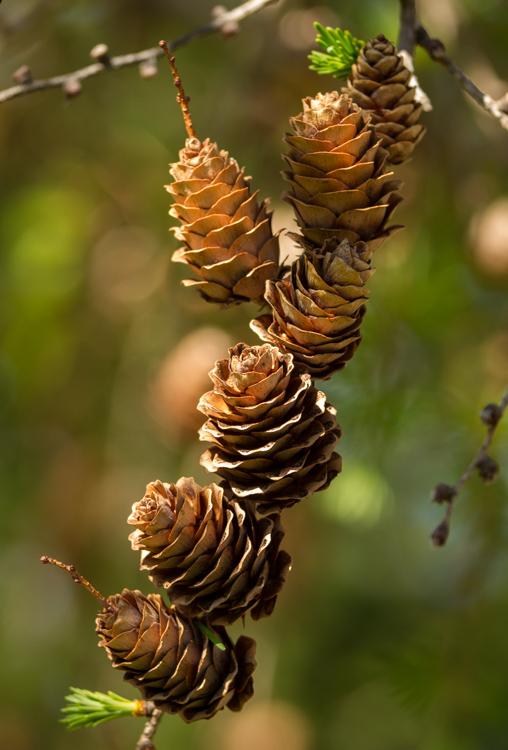 摄影构图中的对比与差异展示,如何看懂摄影构图中的均衡