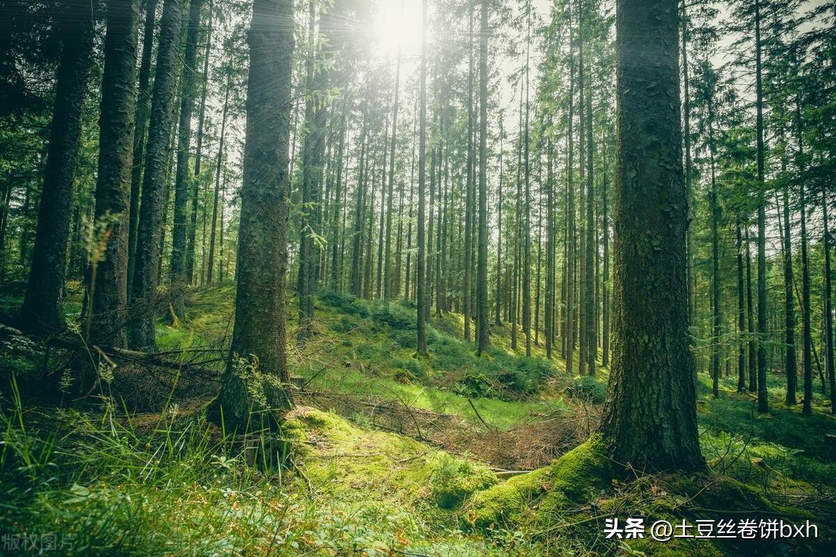 饮食计划减脂少掉肌肉,健康的饮食才是最好的身材管理