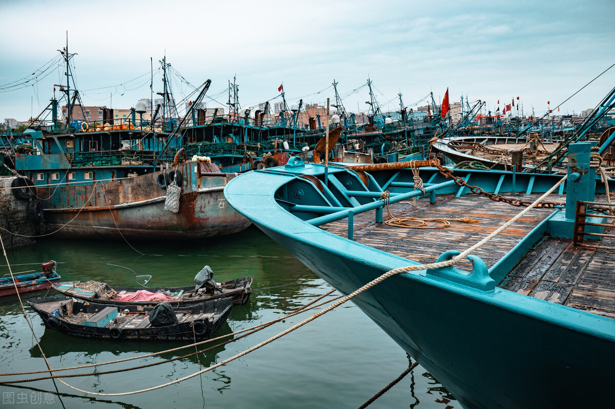 休渔期什么海鲜最好卖,休渔期到来但这些海鲜仍可以选择