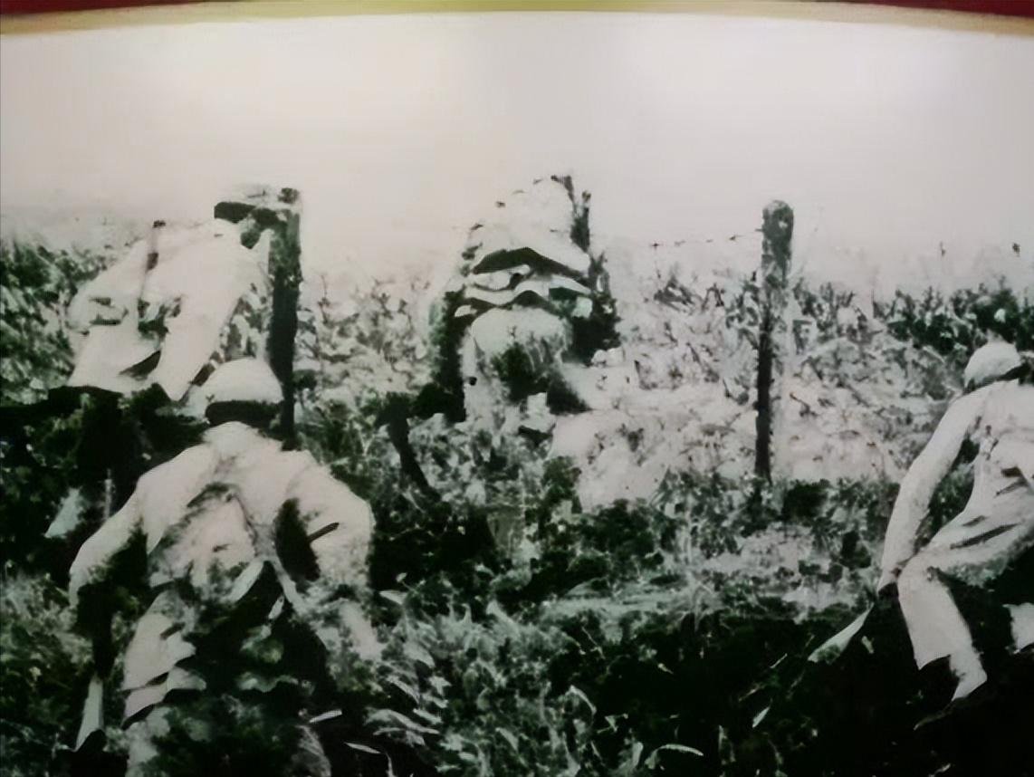 登步岛现状,登步岛为什么叫登步