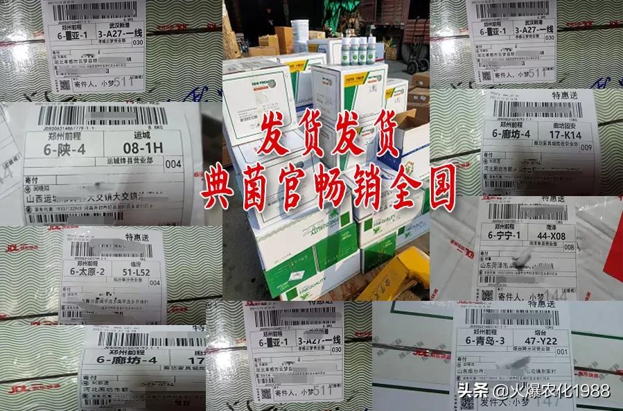 如何杀真菌细菌病毒,万能广谱杀菌剂所有病害一网打尽