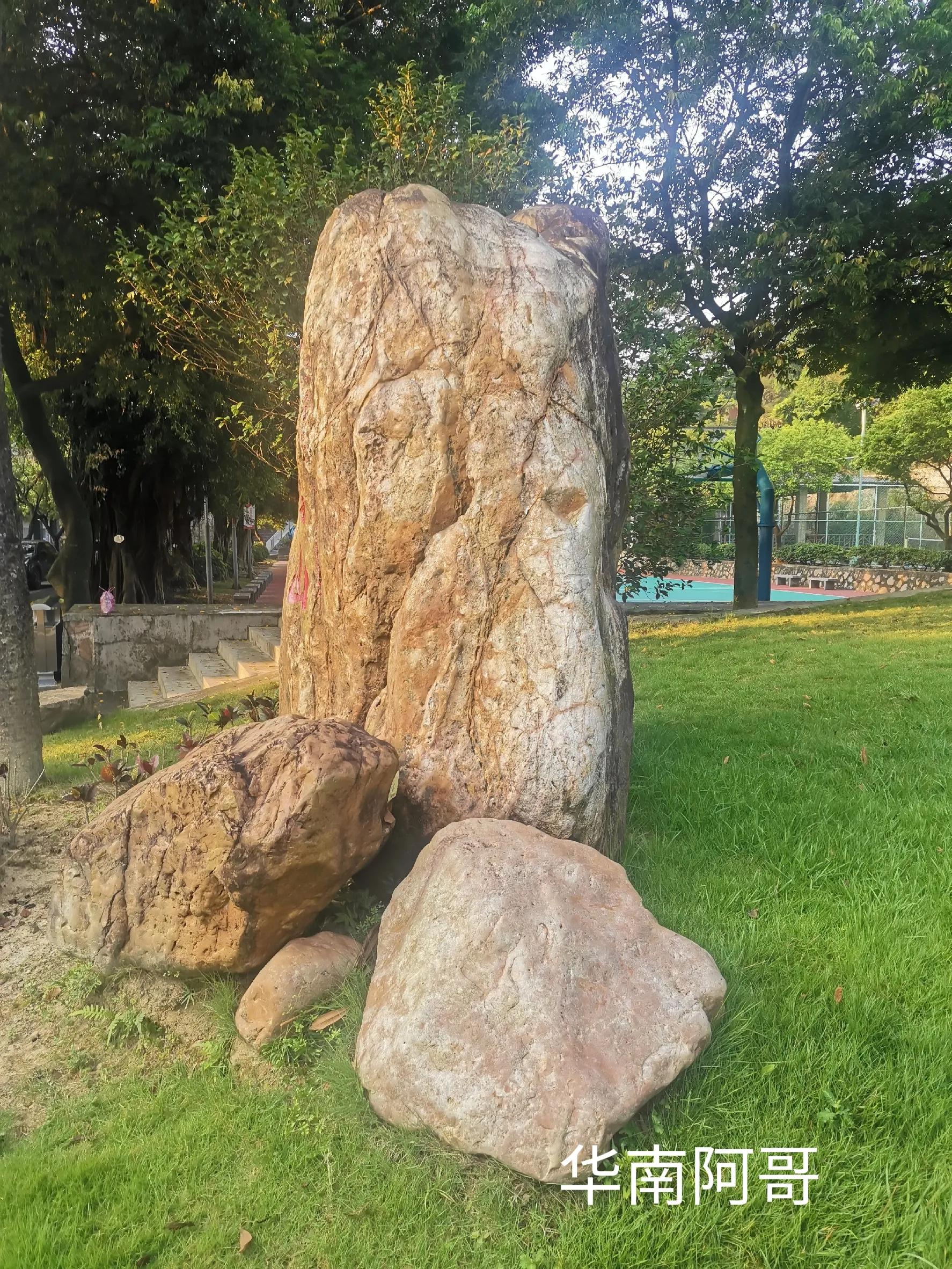 小说大山里的爱情,大山里的爱情小品