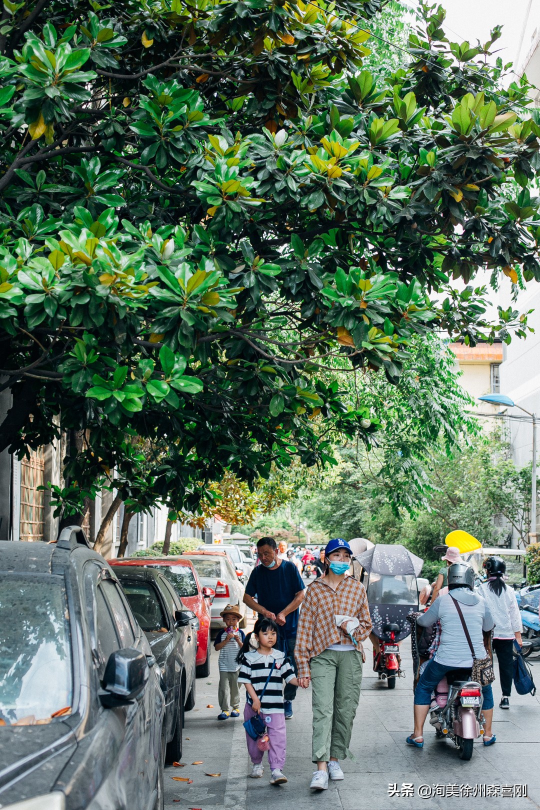我在校园里的童年,我在小学的快乐时光