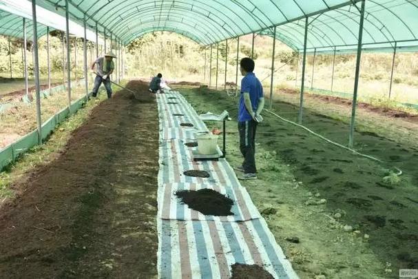 禽畜粪便环保处理,畜禽粪便处理循环利用利弊