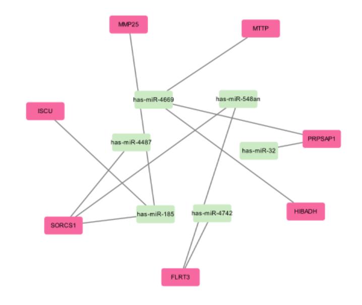 sci论文化繁为简,sci速成手把手教你写