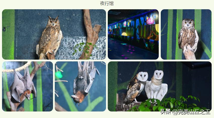 广州5a景区正佳广场,广州5a景点排名大全