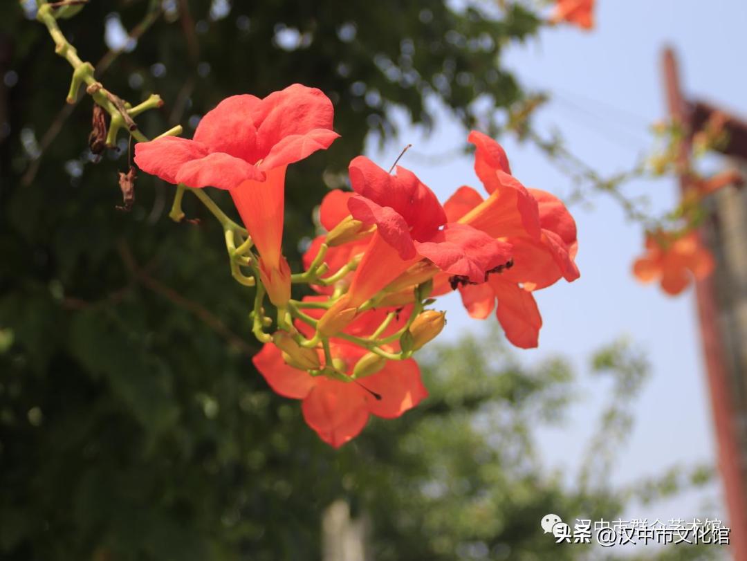 摄影创作培训班六期,文化馆举办摄影作品欣赏图文