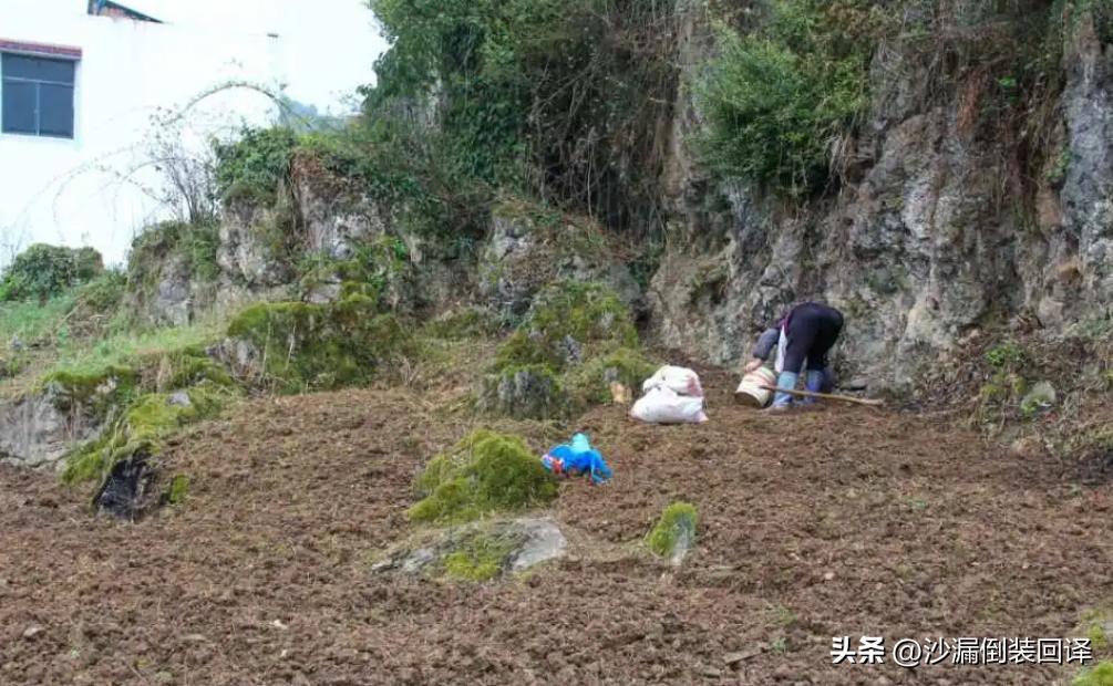 为什么农村娃要出去见世面,农村的孩子怎样见世面