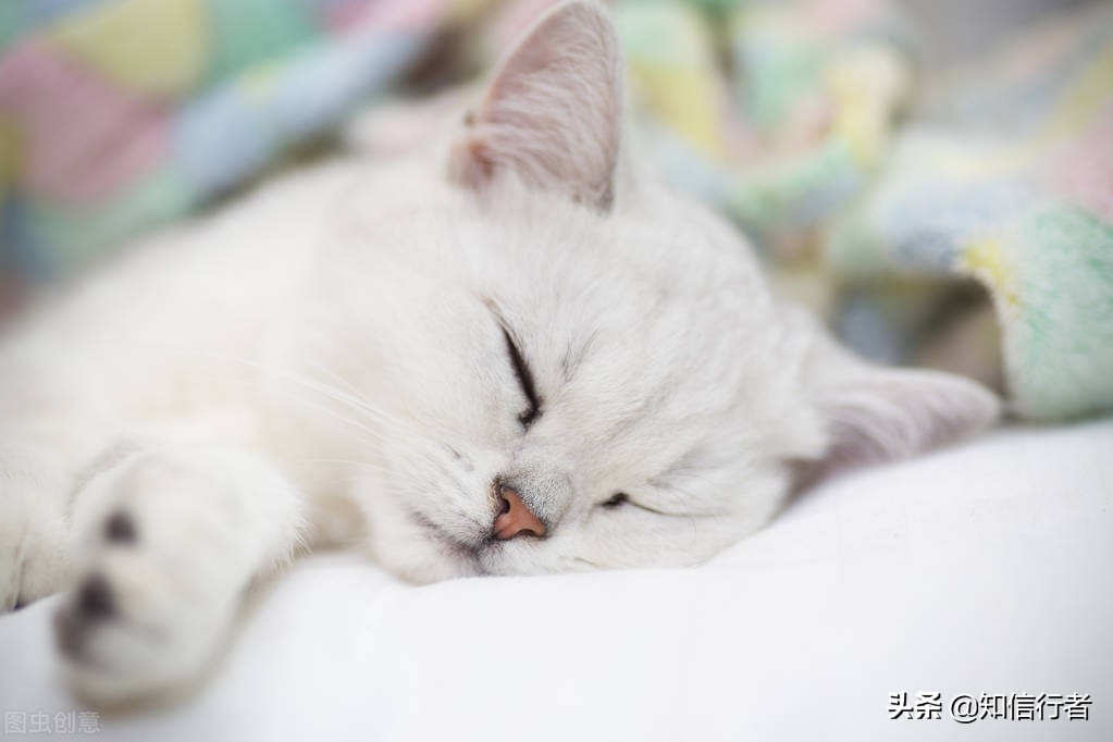 逆向思维生意案例,逆向思维怎么解决赚钱难