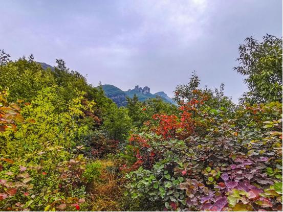最好的风景是山里走走,最好的旅游风景在路上