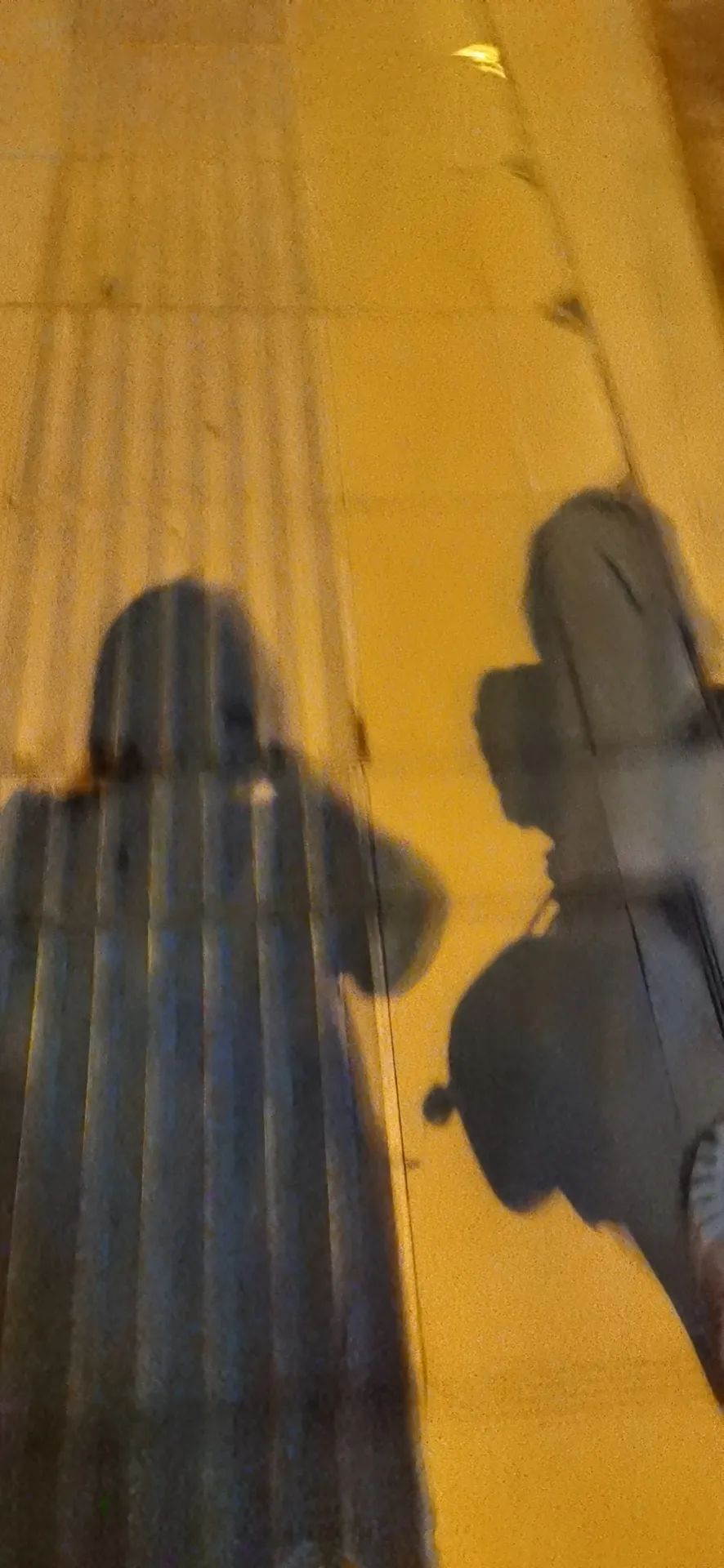 听听审计人的“盛夏果实”