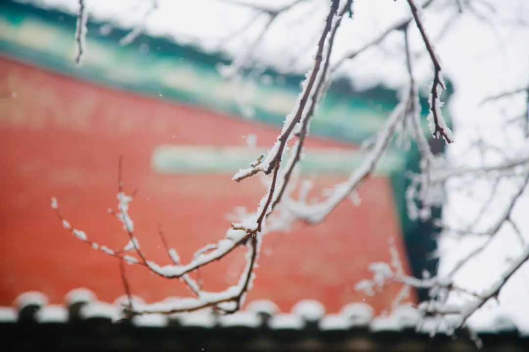 关于冬雪的诗句古诗词有哪些,雪的唯美诗句冬雪