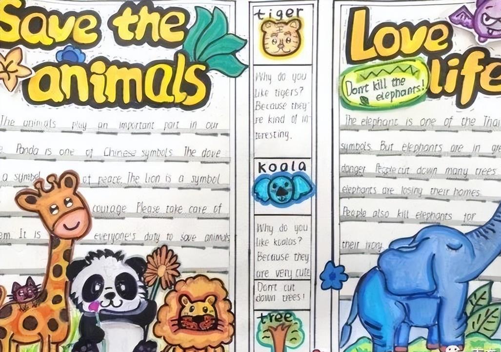 保护动物手抄报英语一等奖五年级,英语保护动物倡议手抄报