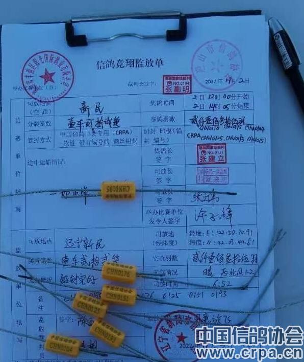 高分速高归巢！“世界杯”唐山阳光站第四关500公里比赛圆满收官