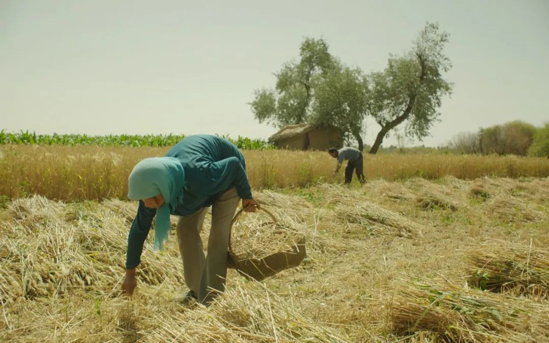 58天，我们见证了一部冷门片的逆袭