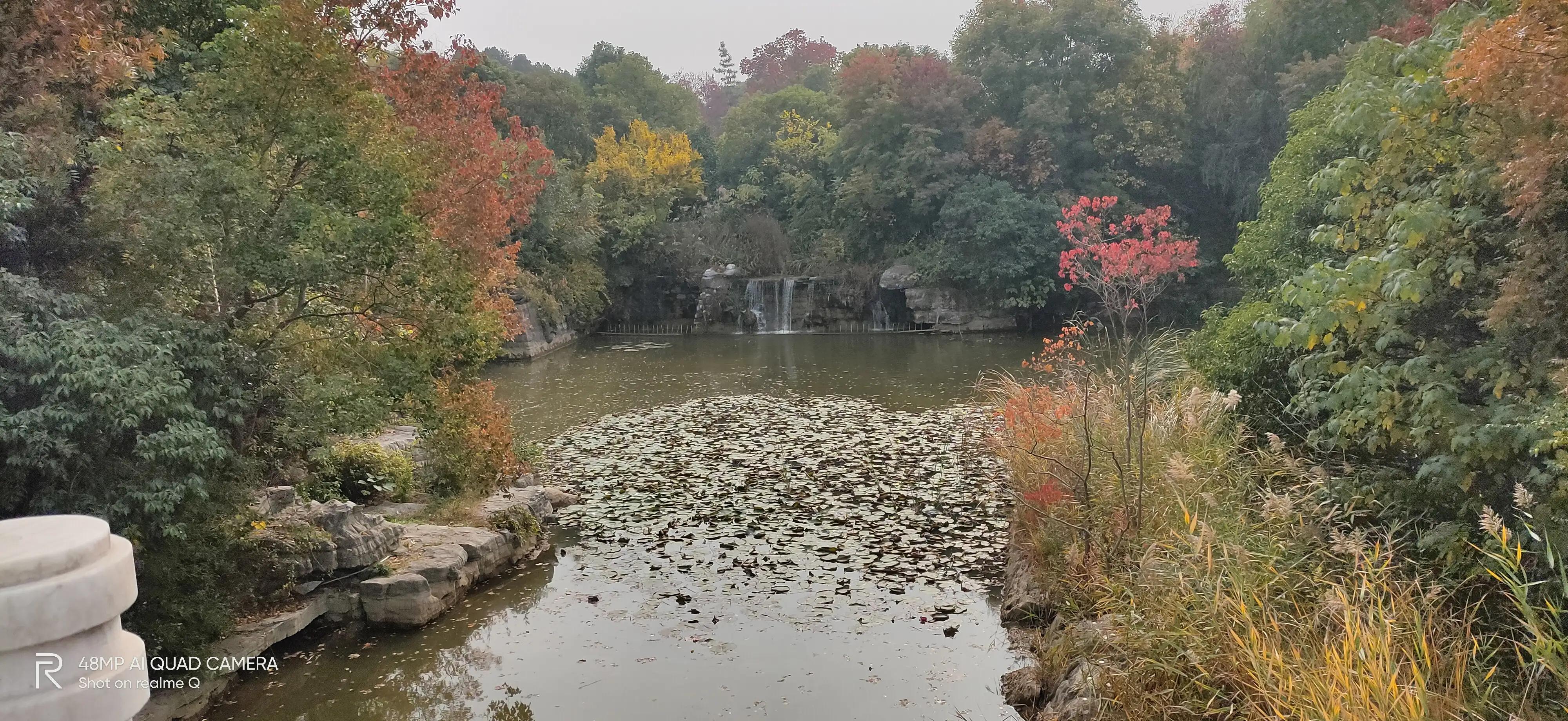徐州彭祖园森林探险,徐州彭祖园名人石像