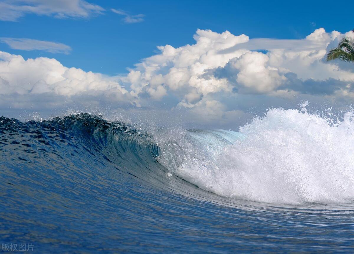 观海听涛书法欣赏,观海听涛作品