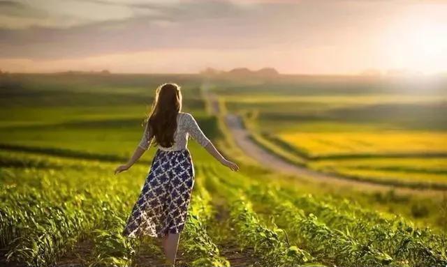 云南普洱景迈山旅游,普洱景迈山风景区