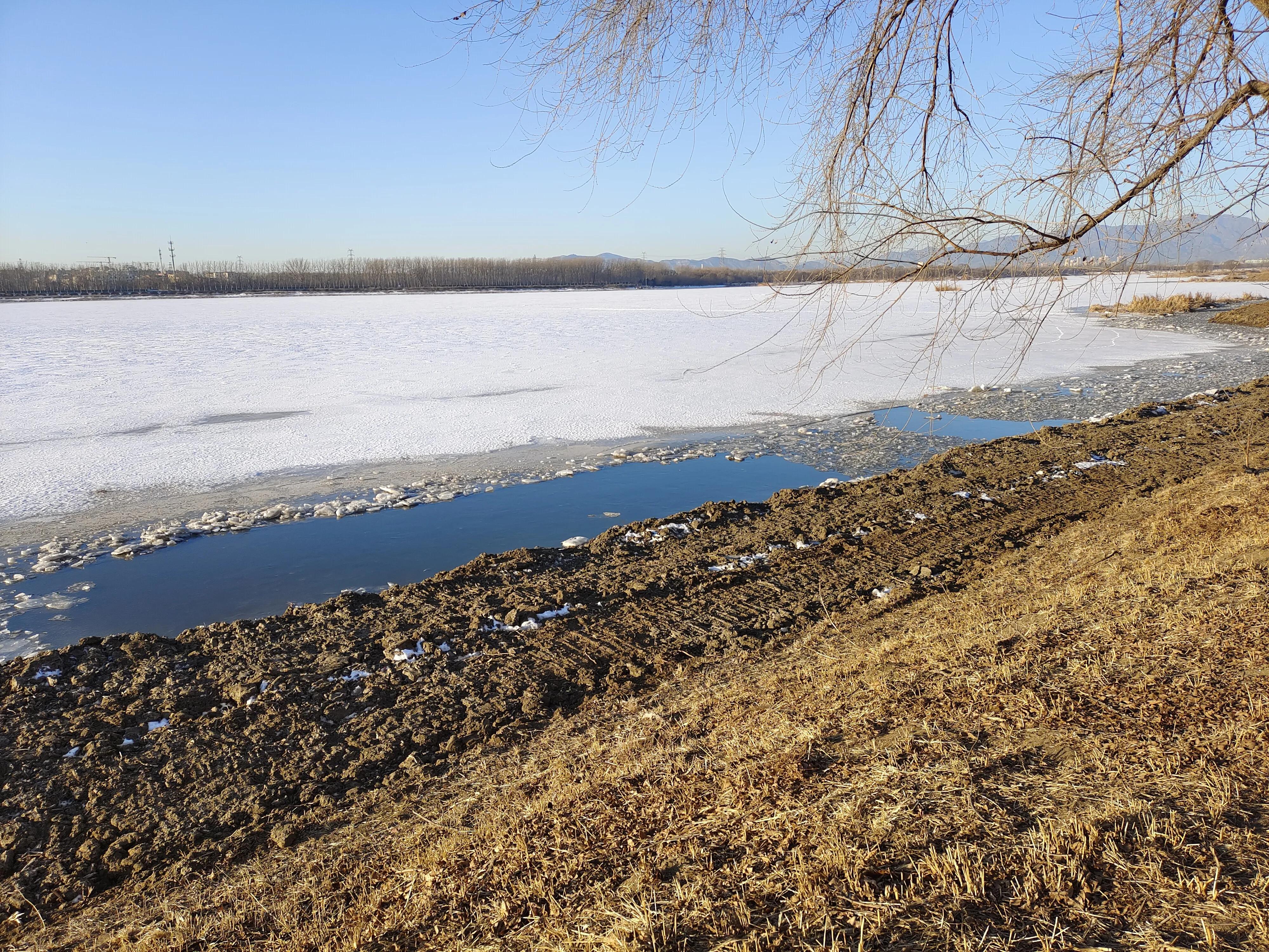 又是新的一周表情包,又是新的一周开始了图片