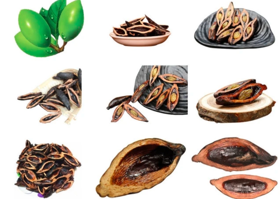 槟榔到底是名贵药材还是恶魔果实,槟榔价格高国家会不给吗