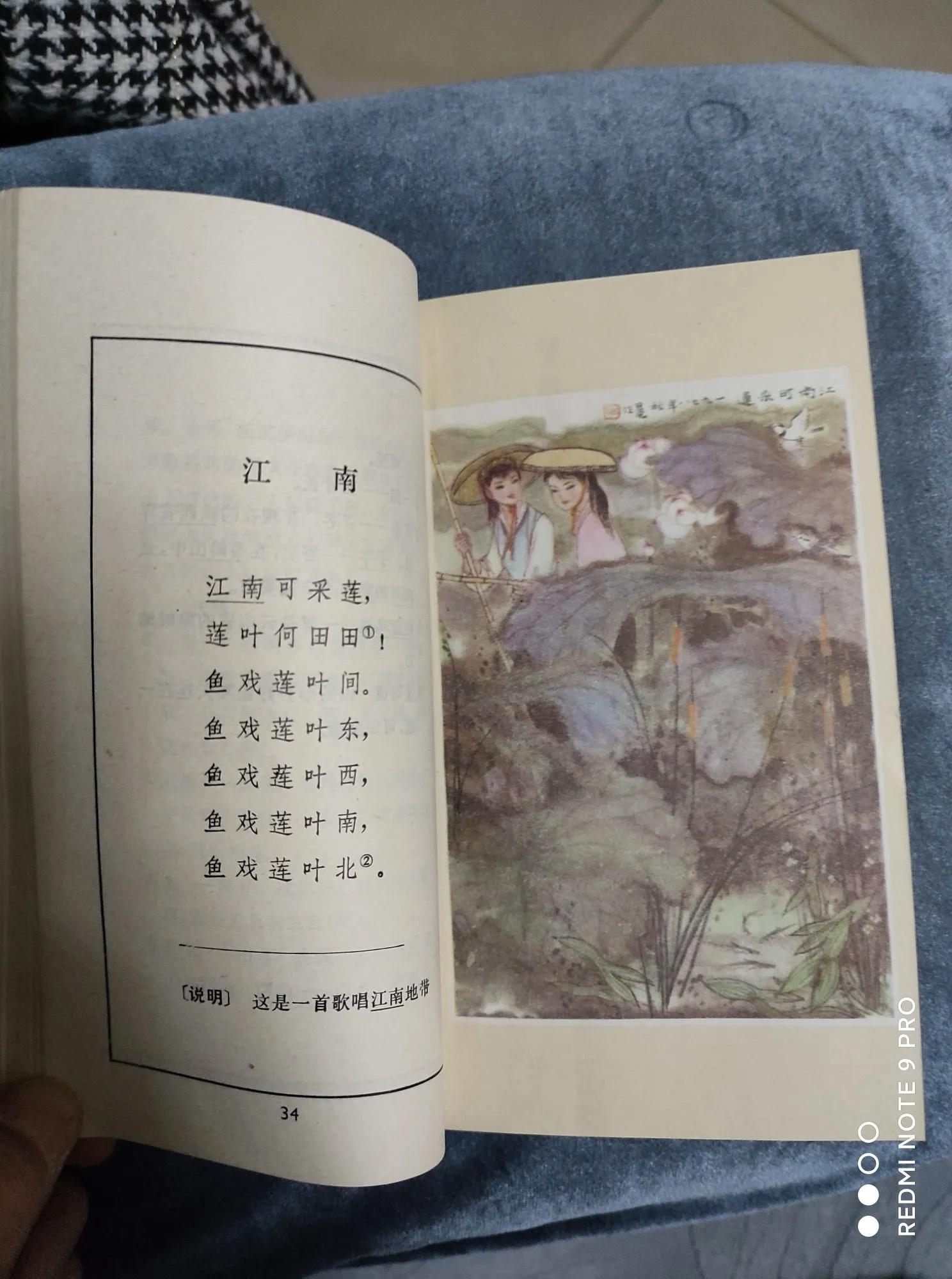 差一点买“珠”还“椟”——购«古代诗歌选»小记