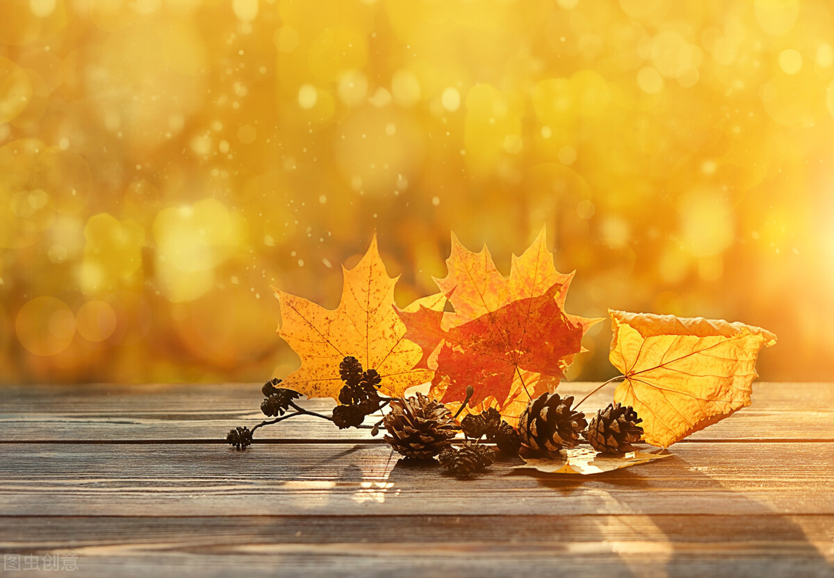 俄罗斯的金秋是几月份,俄罗斯的春天是三月开始的吗