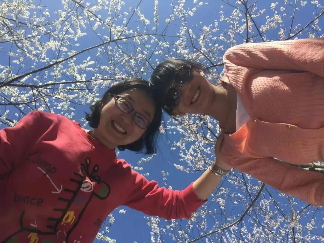 我们为什么能读到唐诗,为什么我们能看懂一半的日文