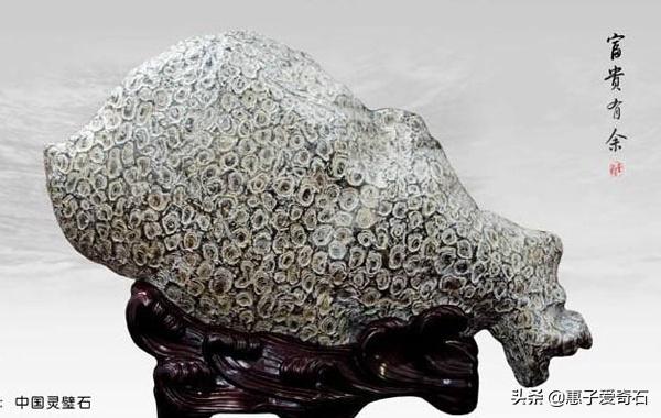 灵璧奇石珍珠石价格,灵璧上亿元的奇石